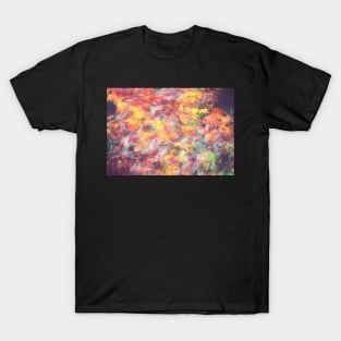 Colors 207 T-Shirt